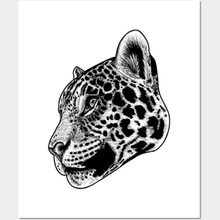 Jaguar - ink illustration Posters and Art